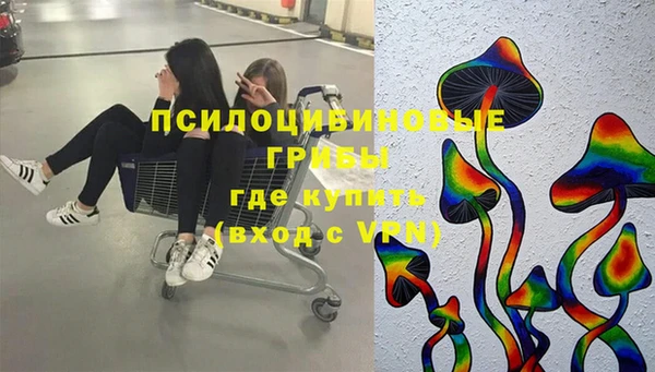 дживик Верея