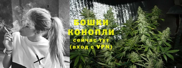 индика Верхнеуральск