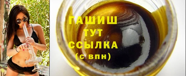 мдпв Бородино