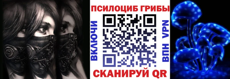 Галлюциногенные грибы MAGIC MUSHROOMS  мега ссылки  Торопец 